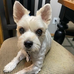 Meet your Posher, Wendy